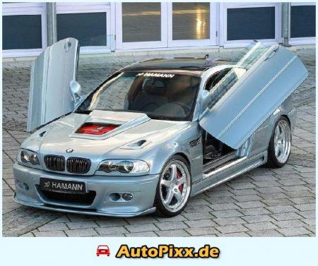 hamann